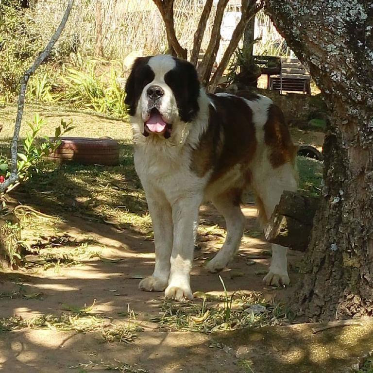 Rancho Do Cowboy 2*